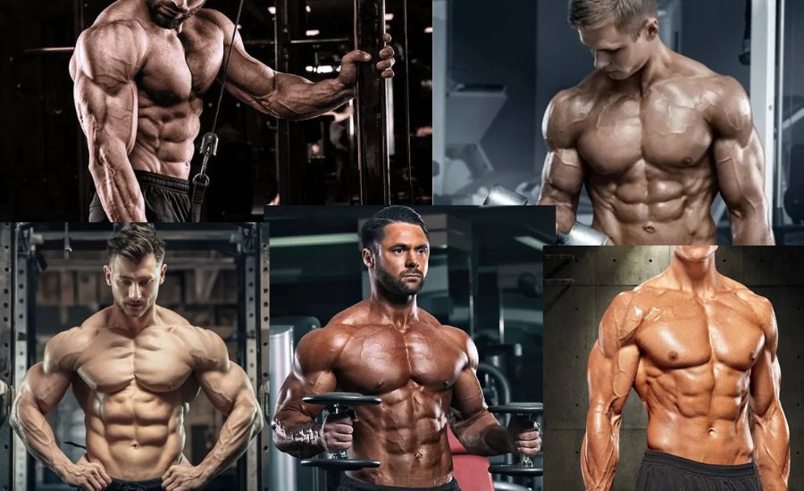 The Science of Muscle Growth for Bulking Up