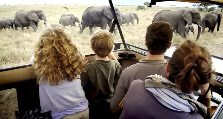 Luxury Family Safaris: Tips and Best Practices for an Unforgettable Family Experience