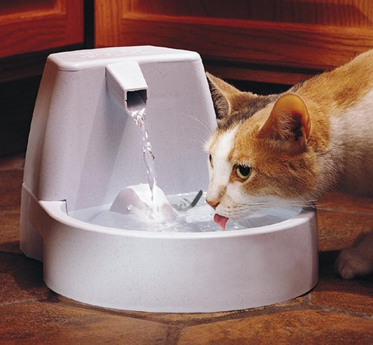 Pets Stay at Home Better With Cat Water Fountains: the New Revolution in Hydration