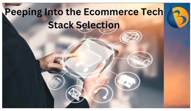 Peeping Into the Ecommerce Tech Stack Selection