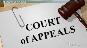 The Role and Impact of New Evidence in Appeal Courts