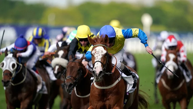 The Ultimate Guide to Motorsports and Royal Ascot Events